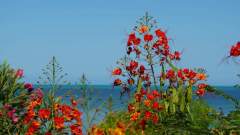 Madagaskar copyright piotr nogal 20191105_084459 Madagaskar copyright piotr nogal 20191105_084459