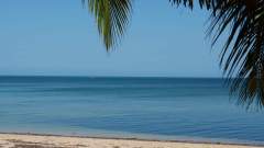 Madagaskar copyright piotr nogal 20191105_084703 Madagaskar copyright piotr nogal 20191105_084703