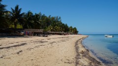 Madagaskar copyright piotr nogal 20191105_084806 Madagaskar copyright piotr nogal 20191105_084806