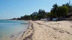 Madagaskar copyright piotr nogal 20191105_084816 Madagaskar copyright piotr nogal 20191105_084816