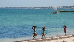 Madagaskar copyright piotr nogal 20191105_095720 Madagaskar copyright piotr nogal 20191105_095720