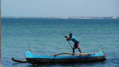 Madagaskar copyright piotr nogal 20191105_095807 Madagaskar copyright piotr nogal 20191105_095807