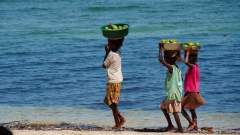 Madagaskar copyright piotr nogal 20191105_095817 Madagaskar copyright piotr nogal 20191105_095817