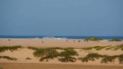 Madagaskar copyright piotr nogal 20191106_080202 Madagaskar copyright piotr nogal 20191106_080202