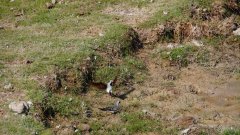 Madagaskar copyright piotr nogal 20191106_080928 Madagaskar copyright piotr nogal 20191106_080928