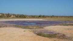 Madagaskar copyright piotr nogal 20191106_081507 Madagaskar copyright piotr nogal 20191106_081507