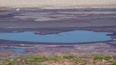 Madagaskar copyright piotr nogal 20191106_081526 Madagaskar copyright piotr nogal 20191106_081526