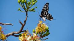 Madagaskar copyright piotr nogal 20191106_081851 Madagaskar copyright piotr nogal 20191106_081851