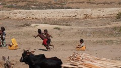 Madagaskar copyright piotr nogal 20191106_084746 Madagaskar copyright piotr nogal 20191106_084746