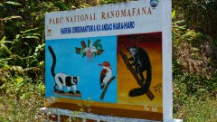 Madagaskar copyright piotr nogal 20191108_115122