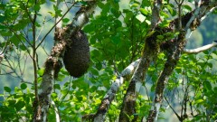 Madagaskar copyright piotr nogal 20191108_123536