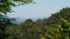 Madagaskar copyright piotr nogal 20191108_130148