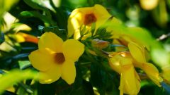 Madagaskar copyright piotr nogal 20191108_134240