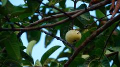 Madagaskar copyright piotr nogal 20191108_164636