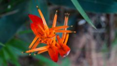 Madagaskar copyright piotr nogal 20191108_164711