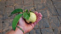 Madagaskar copyright piotr nogal 20191108_164804