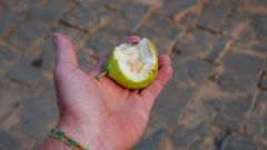 Madagaskar copyright piotr nogal 20191108_165205