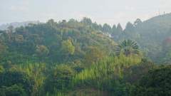 Madagaskar copyright piotr nogal 20191109_064106