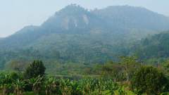 Madagaskar copyright piotr nogal 20191109_064431