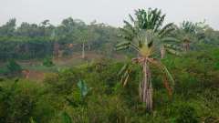 Madagaskar copyright piotr nogal 20191109_065635