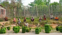 Madagaskar copyright piotr nogal 20191109_065817