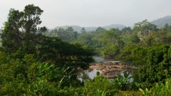 Madagaskar copyright piotr nogal 20191109_070000