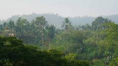 Madagaskar copyright piotr nogal 20191109_070019 Madagaskar copyright piotr nogal 20191109_070019