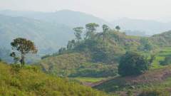 Madagaskar copyright piotr nogal 20191109_072702 Madagaskar copyright piotr nogal 20191109_072702