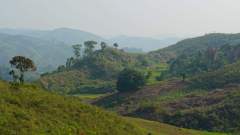 Madagaskar copyright piotr nogal 20191109_072726 Madagaskar copyright piotr nogal 20191109_072726