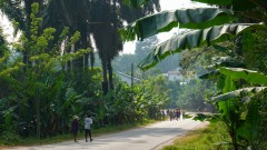 Madagaskar copyright piotr nogal 20191109_074859 Madagaskar copyright piotr nogal 20191109_074859