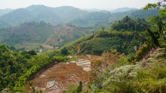 Madagaskar copyright piotr nogal 20191109_084040 Madagaskar copyright piotr nogal 20191109_084040