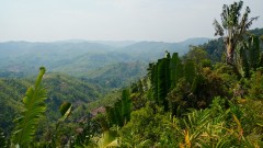 Madagaskar copyright piotr nogal 20191109_091157 Madagaskar copyright piotr nogal 20191109_091157