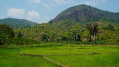 Madagaskar copyright piotr nogal 20191109_093127 Madagaskar copyright piotr nogal 20191109_093127