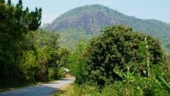 Madagaskar copyright piotr nogal 20191109_093430 Madagaskar copyright piotr nogal 20191109_093430