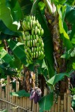 Madagaskar copyright piotr nogal 20191109_094709 Madagaskar copyright piotr nogal 20191109_094709