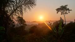 Madagaskar copyright piotr nogal 20191110_052111 Madagaskar copyright piotr nogal 20191110_052111