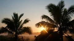 Madagaskar copyright piotr nogal 20191110_052703 Madagaskar copyright piotr nogal 20191110_052703