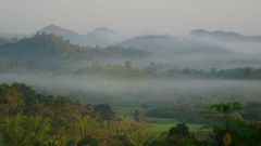 Madagaskar copyright piotr nogal 20191110_053834 Madagaskar copyright piotr nogal 20191110_053834