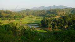 Madagaskar copyright piotr nogal 20191110_060249 Madagaskar copyright piotr nogal 20191110_060249