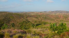 Madagaskar copyright piotr nogal 20191110_064526 Madagaskar copyright piotr nogal 20191110_064526
