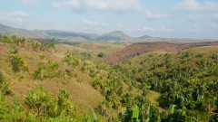 Madagaskar copyright piotr nogal 20191110_072508 Madagaskar copyright piotr nogal 20191110_072508