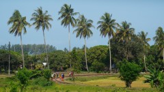 Madagaskar copyright piotr nogal 20191110_143032 Madagaskar copyright piotr nogal 20191110_143032