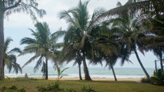 Madagaskar copyright piotr nogal 20191111_094539 Madagaskar copyright piotr nogal 20191111_094539