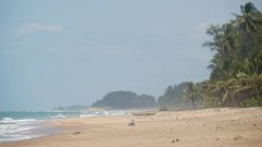 Madagaskar copyright piotr nogal 20191111_105103 Madagaskar copyright piotr nogal 20191111_105103