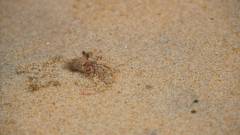 Madagaskar copyright piotr nogal 20191111_105724 Madagaskar copyright piotr nogal 20191111_105724