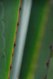 Madagaskar copyright piotr nogal 20191116_081143