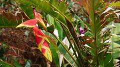 Madagaskar copyright piotr nogal 20191116_081427