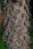 Madagaskar copyright piotr nogal 20191116_082021