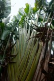Madagaskar copyright piotr nogal 20191116_082318