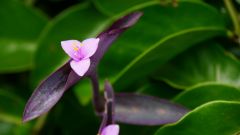Madagaskar copyright piotr nogal 20191116_083401